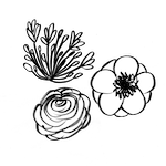 Teaser image
