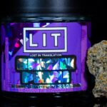Bangkok Purple THCA flower jar from Lost In Translation, Inc