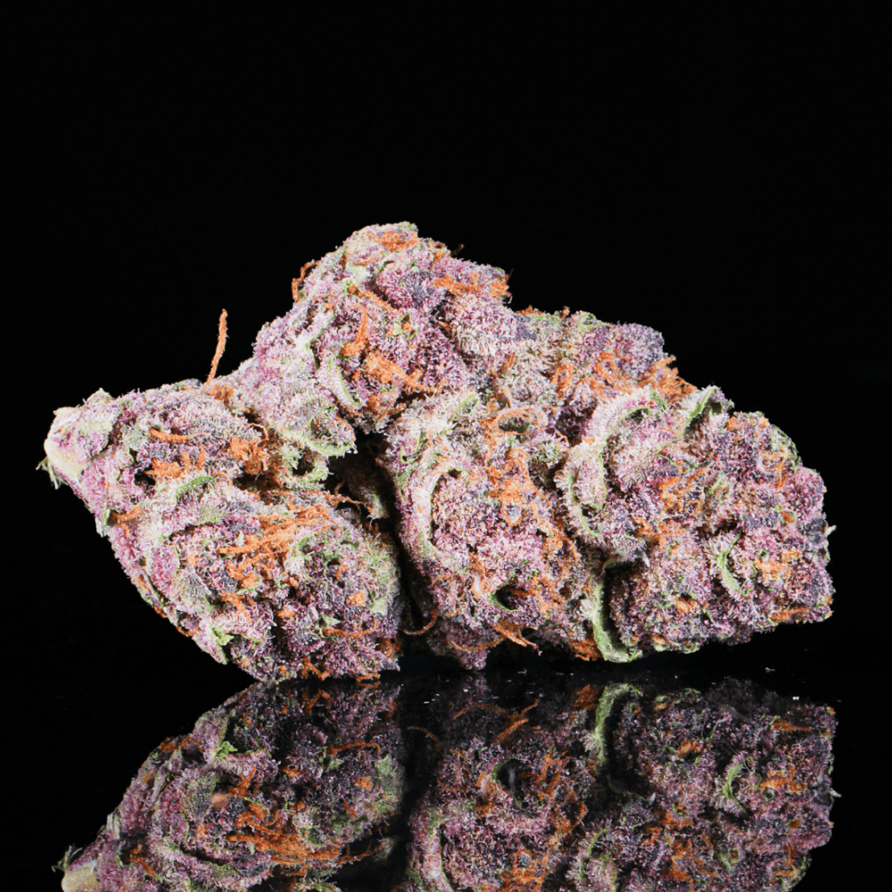 Tropical Runtz THCA flower from Lost In Translation, Inc