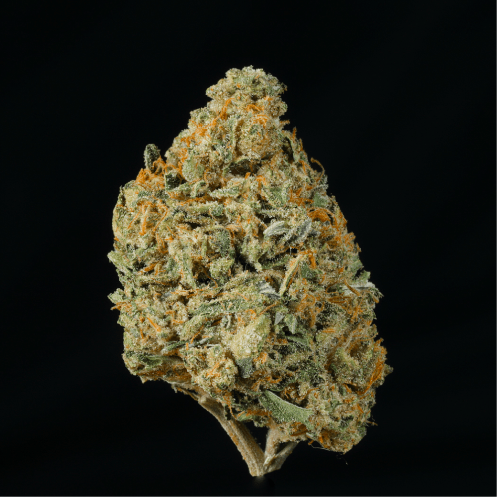 Amaretto Mintz THCA Flower buds