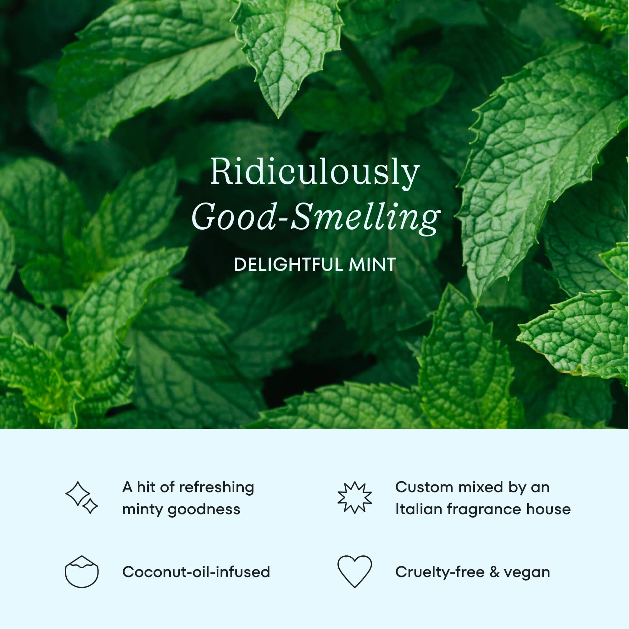 Cocofloss Delightful Mint scent banner