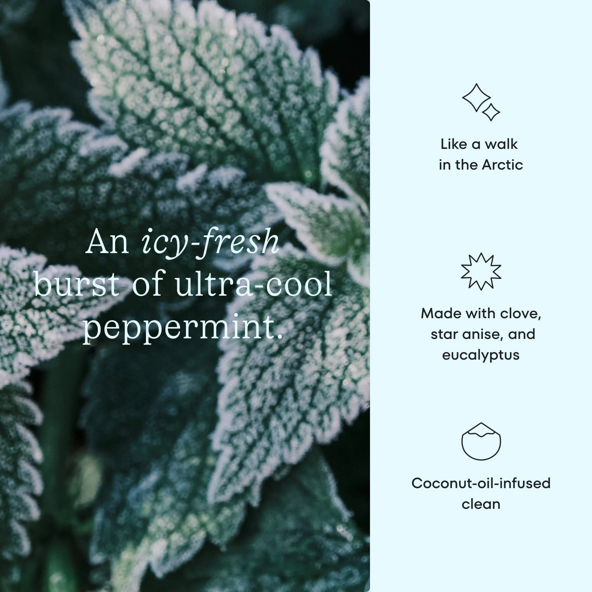 Frosty Peppermint Cocoshine toothpaste