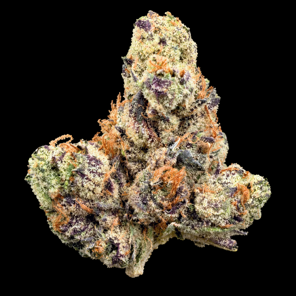 King Runtz THCA Flower product photo