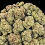 Gelato #41 THCA flower product photo