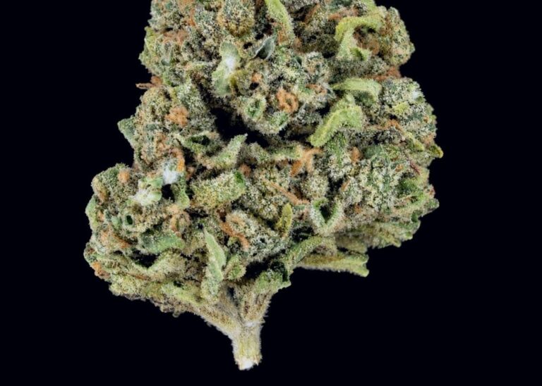 Ghost OG flower buds photographed on a dark background