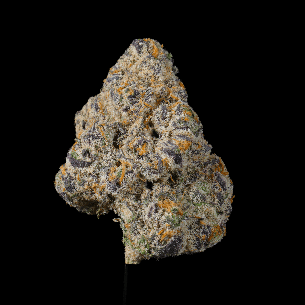 Highlighter THCA flower buds