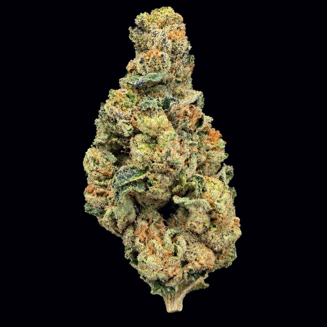 Pluto 85 THCA flower buds