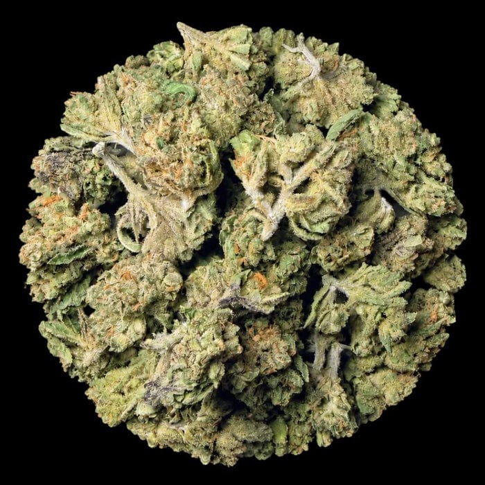 Thin Mint Cookies THCA flower product photo