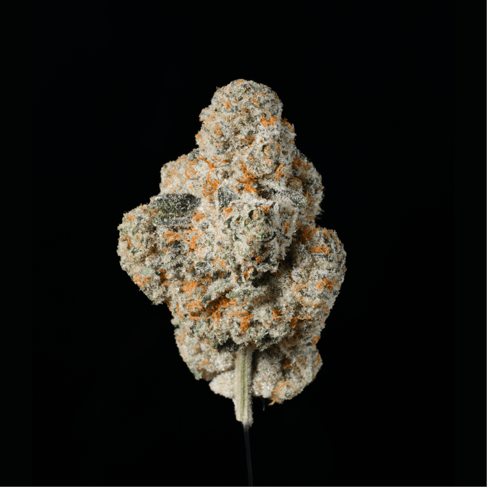 Trainwreck THCA flower buds