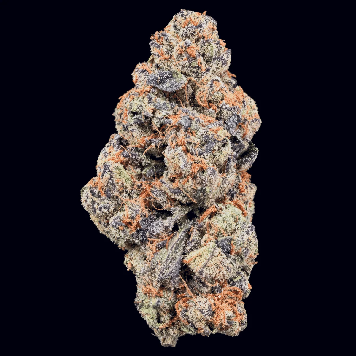 Wildberry Runtz THCA flower buds