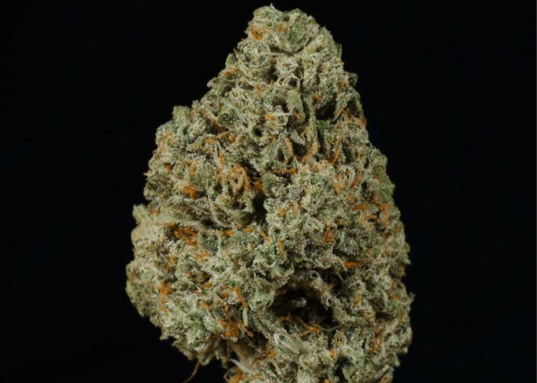 Apples n Bananas THCA flower buds