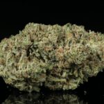 E-85 THCA flower buds from Lost In Translation, Inc