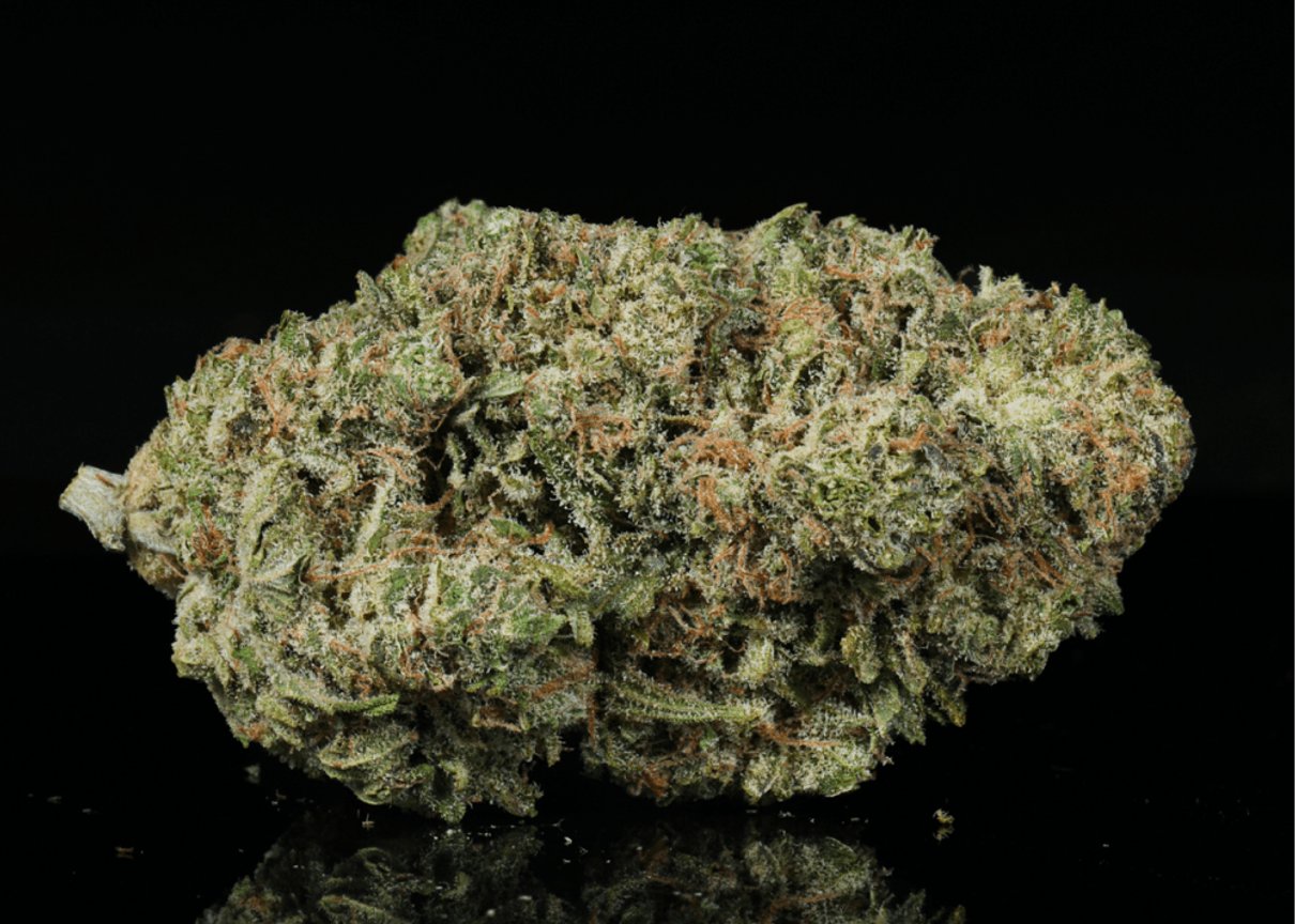 E-85 THCA flower buds from Lost In Translation, Inc