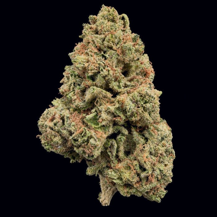 Watermelon Zkittlez THCA flower buds