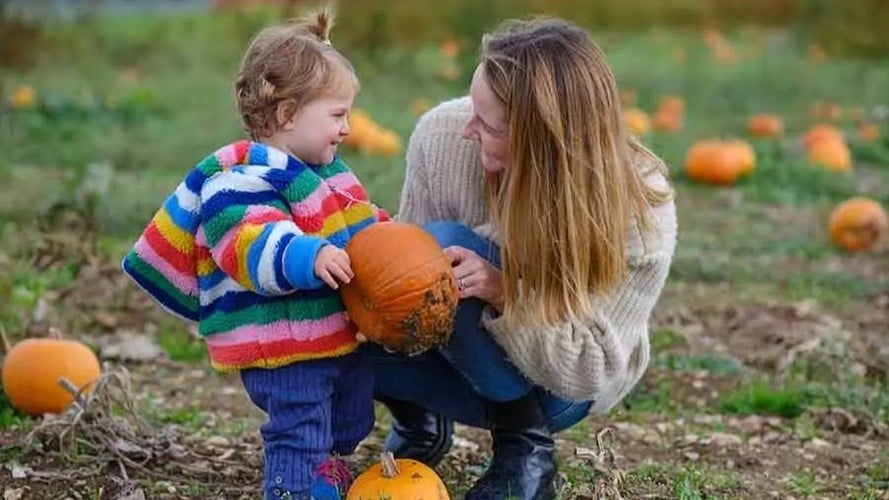 Children picking pumpkins at Odds Farm Park