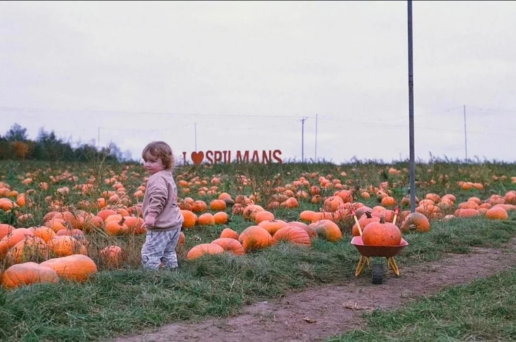Pumpkin Festival at Spilmans