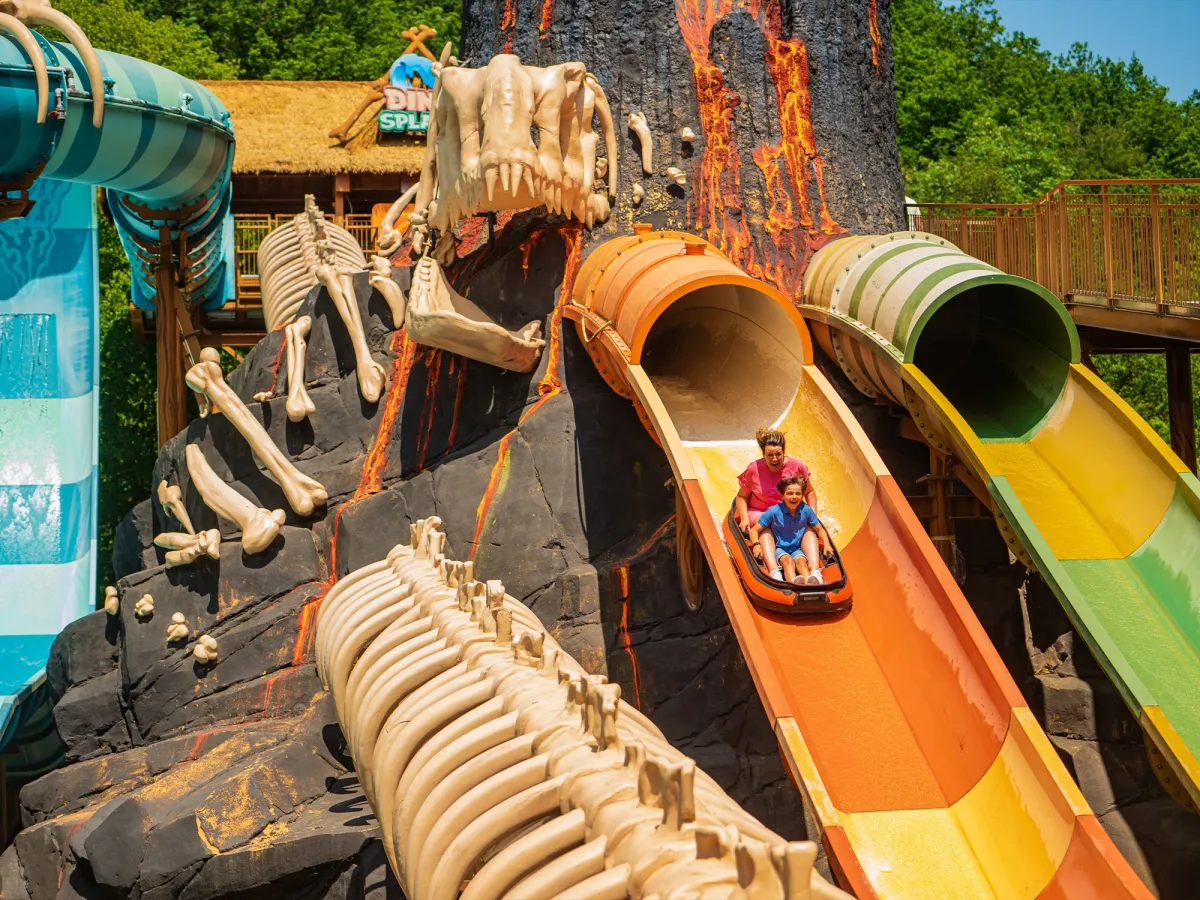 Attraction DinoSplash à Plopsaland Ardennes