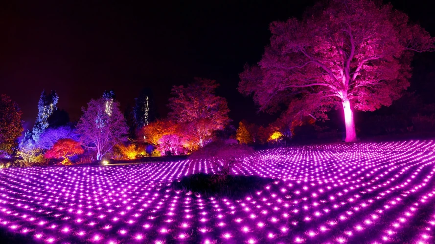 Illuminated garden path at RHS Glow