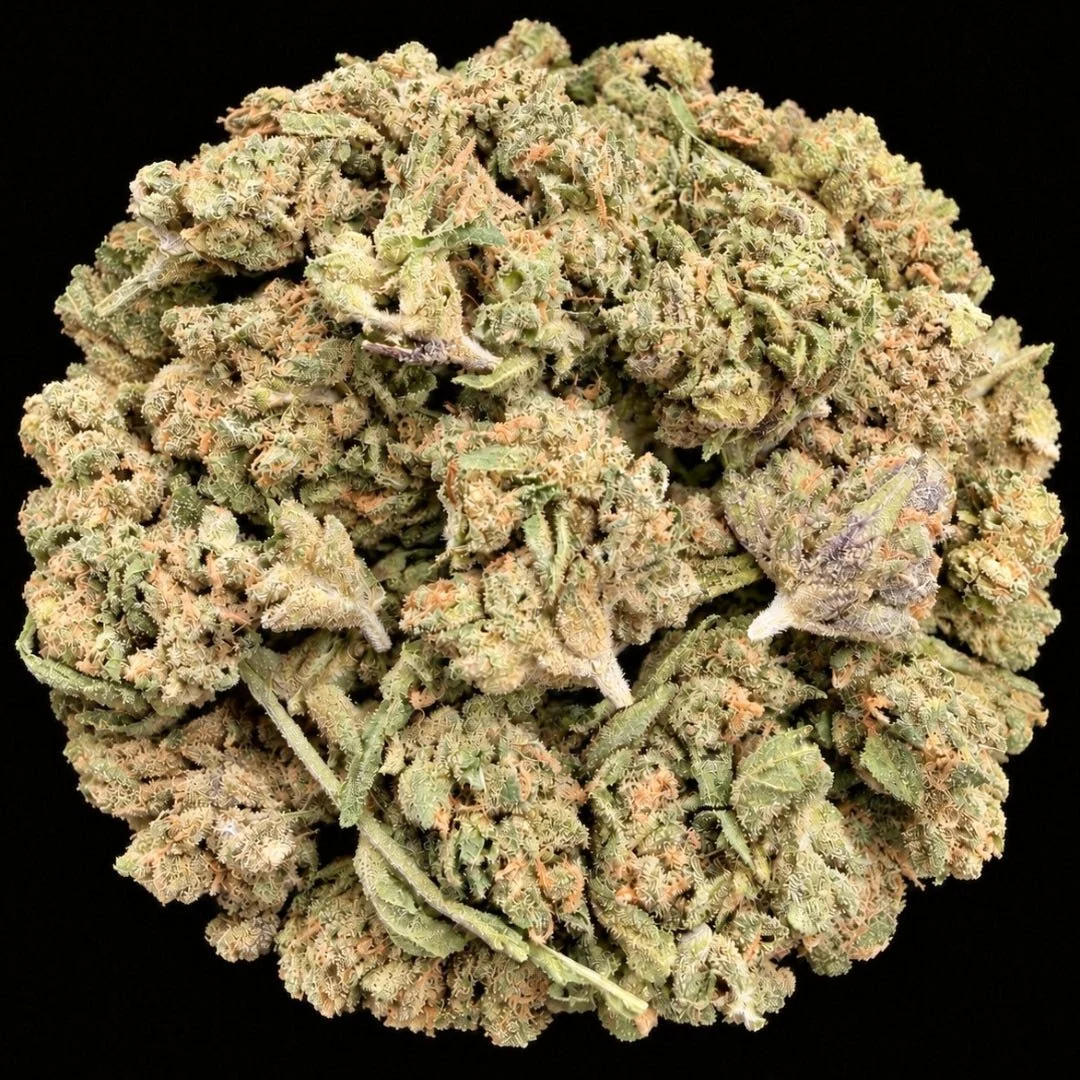 Rocket Fuel THCA flower buds shown in a product photograph