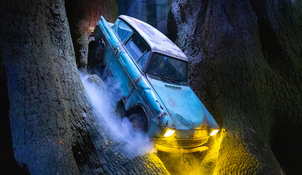 The Forbidden Forest set from the Harry Potter films
